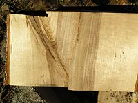 Заделка пороков и дефектов в древесине