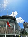 The "Black Bauhinia" flag hung by the protesters, flying at LegCo Building.