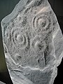 Cast of Heygate stone, showing cup and ring overlaps.