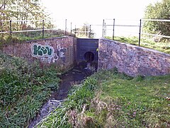 Bradley Branch Lock 2