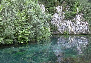 Brenz (river) River in Germany