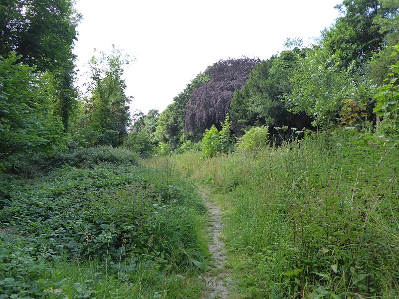 File:Brundall Church Fen 1.jpg