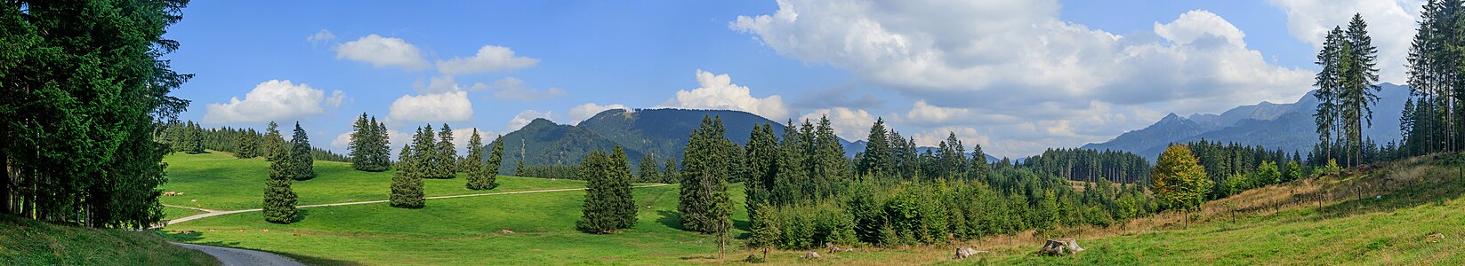 Mountain pasture Buchenberg Halblech-Buching Bavaria