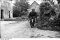 Bundesarchiv Bild 101I-584-2160-07, Frankreich, Soldat mit Gewehr hinter Büschen.jpg