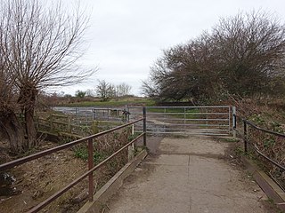<span class="mw-page-title-main">Burgess Field Nature Park</span> Human settlement in England