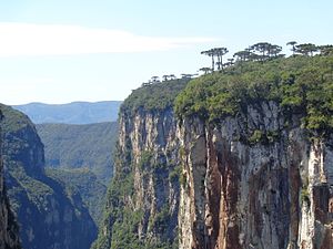 Parque Nacional Aparados da Serra, Brazil