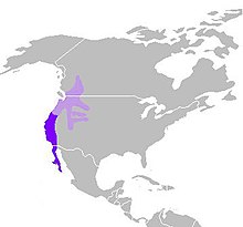 C. californica distribution.JPG