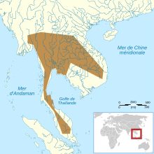 Calluella guttulata map-fr.svg