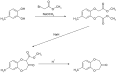 Calon 1951 - Synthese 1