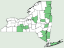 Carex cumulata NY-dist-map.png