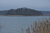 Blick auf den östlichen Teil des Carwitzer Sees mit der Insel Elswerder