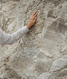 Outcrop of Castile Formation near US Highway 62/180, Mile Marker 5 showing varved gypsum and carbonate laminae Castile AIII.jpg