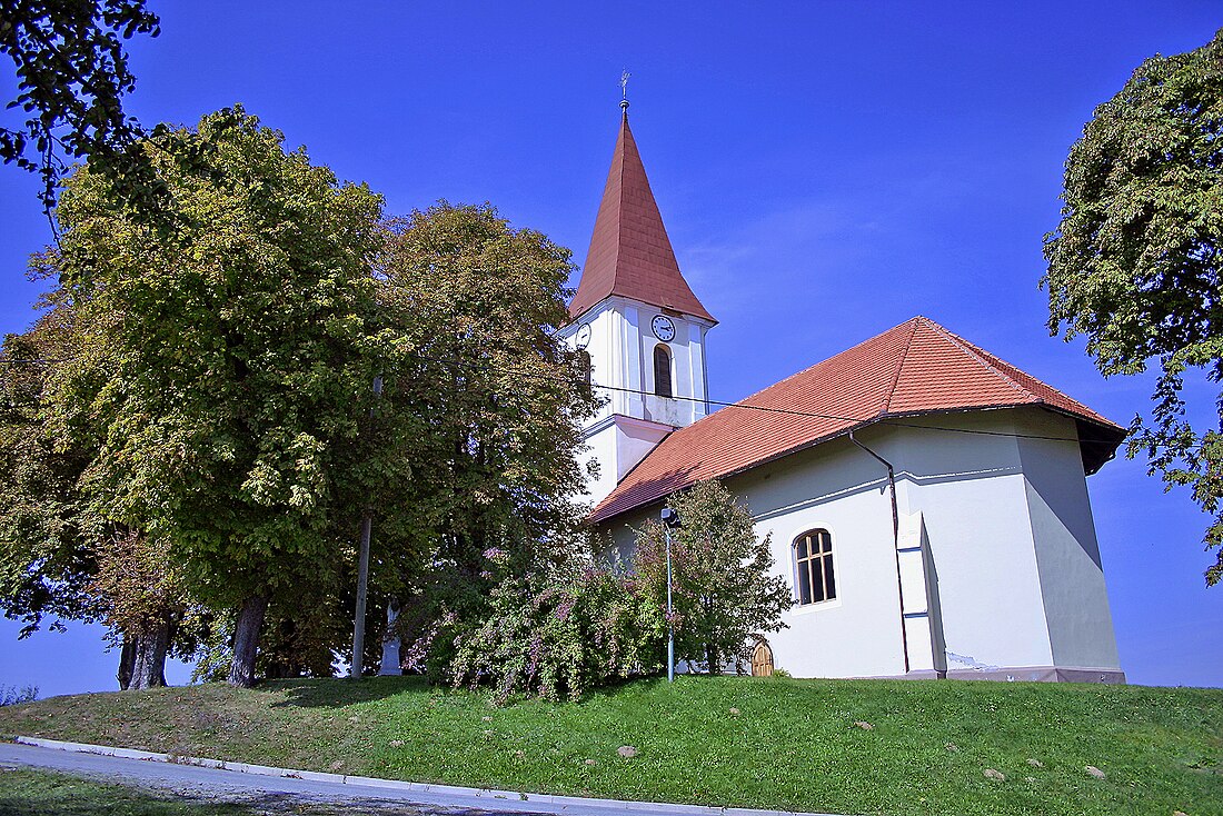 Dolenci, Šalovci