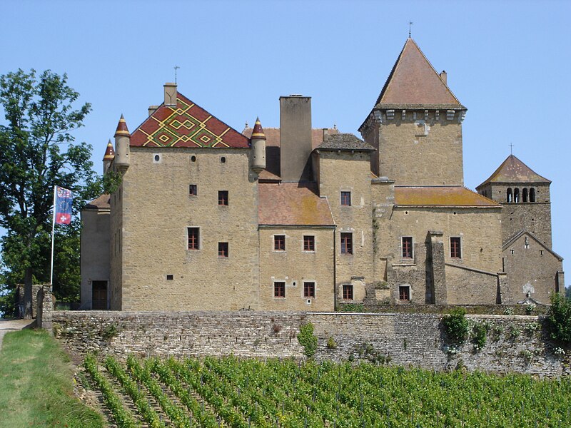 File:Château de Pierreclos.jpg