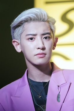Chanyeol at a showcase on July 22, 2019.png