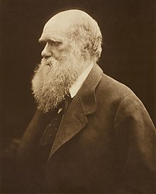 Portrait de trois-quarts en noir et blanc, d'un homme portant une longue barbe blanche.