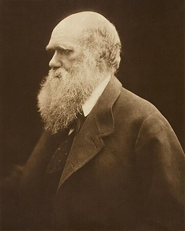 15. Charles Darwin by Julia Margaret Cameron