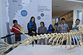 Chicos de barrios populares visitaron el Museo Malvinas e Islas del Atlántico Sur (15372863462).jpg