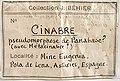 Cinnabar-tmix07-160c.jpg