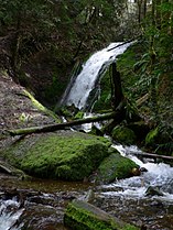 Coal Creek Falls