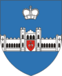 Coat of Arms of Kosava, Belarus.png