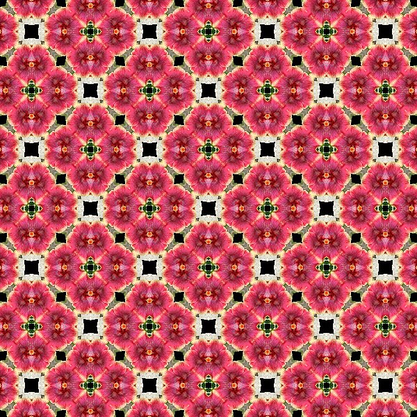 File:Color graphic pattern by Peak Hora 346.jpg