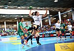 Miniatura para Copa de la Reina de Balonmano 2016-17