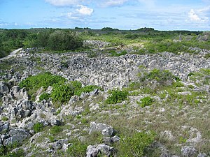 Історія Науру: Перші поселенці, Доколоніальна епоха, Колоніальна епоха