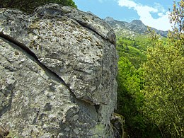 Cote Umbrella (Elba) .jpg