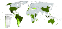 Thumbnail for List of countries by avocado production