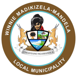 Cropped-Mbidzana-logo.png