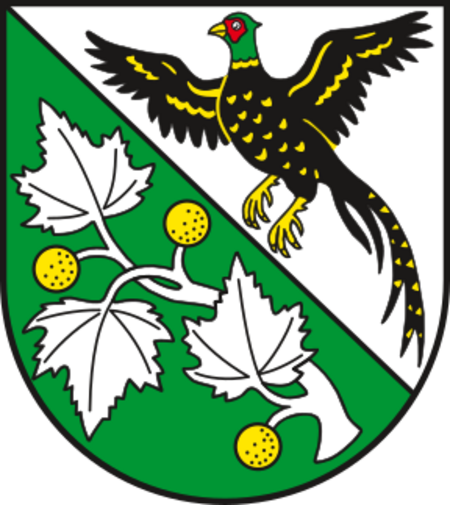 DE ST 15 0 85 285 Nienhagen COA