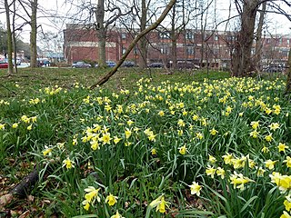 Rotherham General Hospital Hospital in South Yorkshire, England