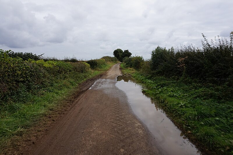 File:Dale Lane towards Mansfield Road - geograph.org.uk - 5149346.jpg