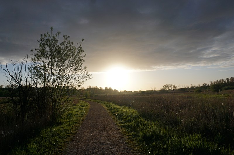 File:Das Naturschutzgebiet Brenner Moor 06.jpg