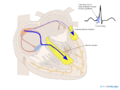 Thumbnail for version as of 23:45, 31 January 2013