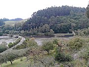 Desembocadura do río Grande na ría de Ribadeo, entre Santalla e Ove. Pódese observar a liña de ferrocarril de vía estreita Ferrol-Xixón, e á dereita, a ponte da antiga liña Ribadeo - Vilaoudriz, hoxe soporte para o tubo de auga que subministra Ribadeo. Á esquerda, a ría, e á dereita, o río Grande.
