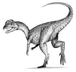 Dilophosaurus jeden z mnoha vyhynulých rodů dinosaurů