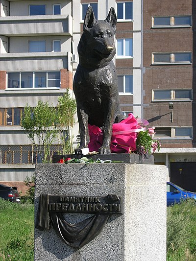 Собака символ верности. Памятник преданности собаке в Тольятти. Тольятти Хатико памятник. Памятник верному псу Тольятти. Памятник преданности Тольятти пес Константин.