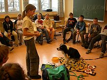 [1, 3] in der Schule: Schulklasse mit Hund