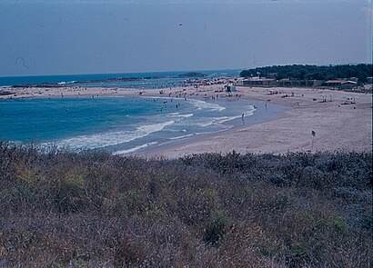 איך מגיעים באמצעות תחבורה ציבורית  לחוף הבונים? - מידע על המקום