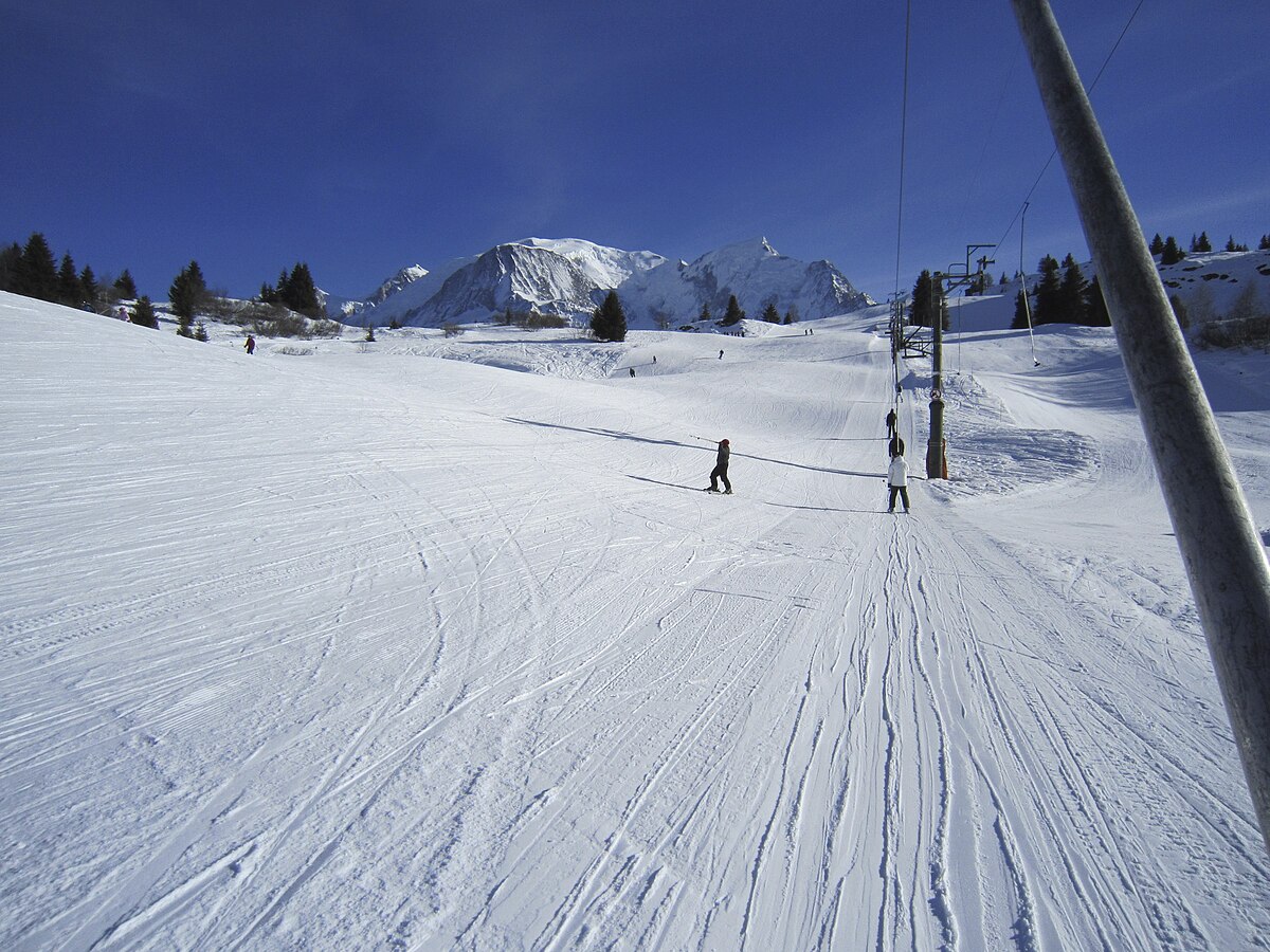 Old Poma drag lift at Les Houches (no longer in use)