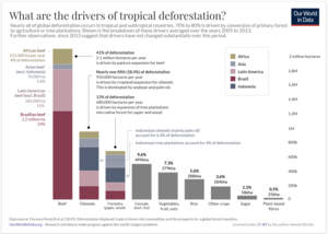 Entwaldung: Ursachen und Erscheinungsformen, Historische Entwicklung, Entwaldung heute