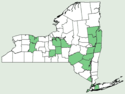 Dryopteris × slossoniae NY-dist-map.png