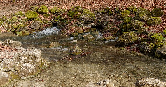 Parts of the Echaz springs Swabian Jura