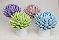 Echeverias peintes pour décoration.