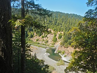 South Fork Eel River in der Standish-Hickey SRA