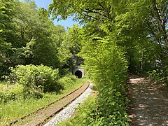 Ehemalige Eisenbahntrasse mit Tunnel (nördl. Ende des NSG)