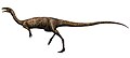 Elaphrosaurus