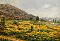 Paisaje californiano de flores silvestres amarillas